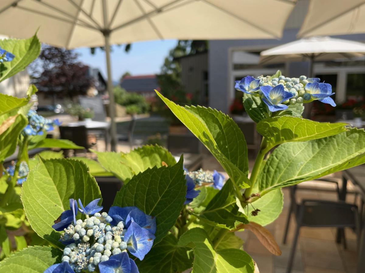 Logis Hotel QUARTIER 5, Sächsische Schweiz, mit Restaurant, Café&Bar Kurort Gohrisch Esterno foto