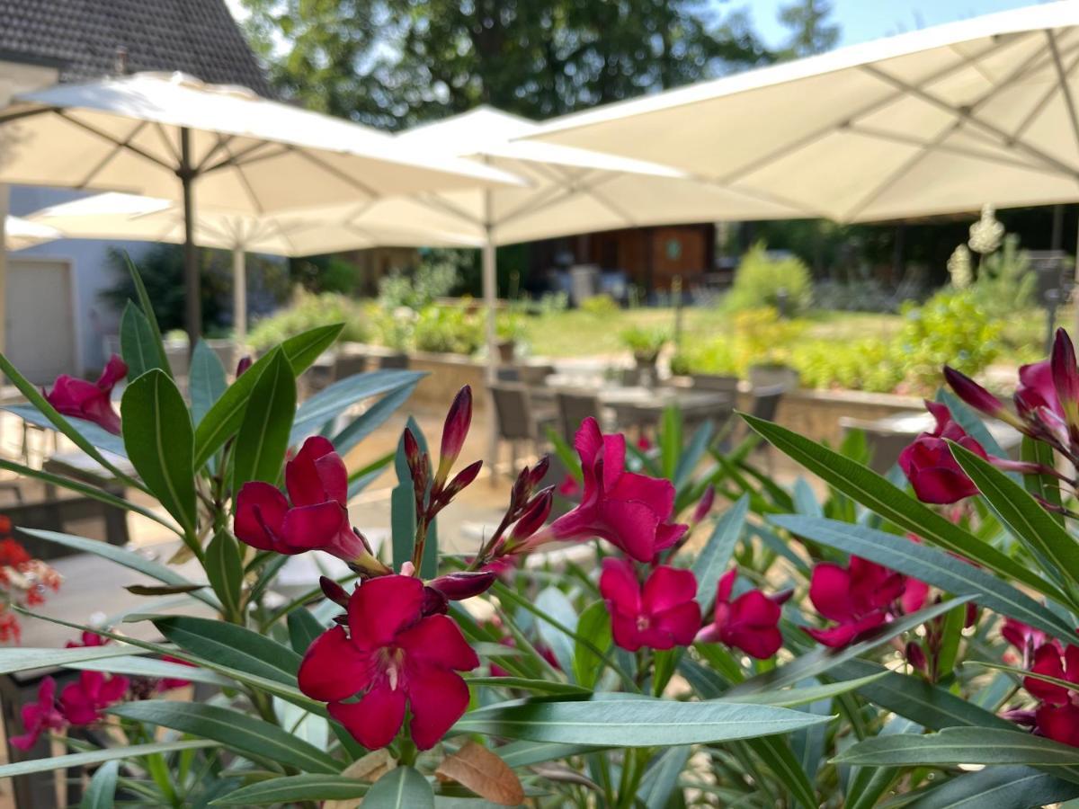 Logis Hotel QUARTIER 5, Sächsische Schweiz, mit Restaurant, Café&Bar Kurort Gohrisch Esterno foto